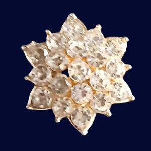 Magnetic Horse Show Number Pins North Star Concho Set of 4 NEW